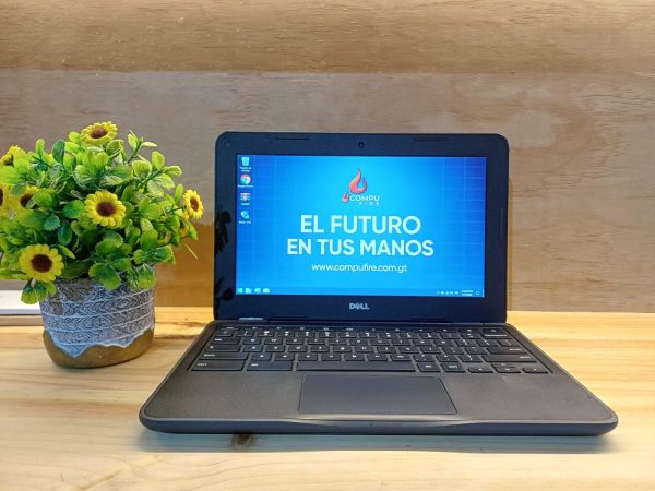 Dell 3190 Celeron | 4gb Ram  | 64gb SSD  | Pantalla 12,5"